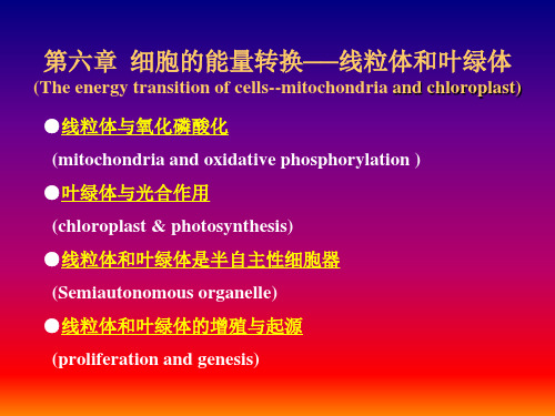 细胞生物学-6第六章线粒体和叶绿体