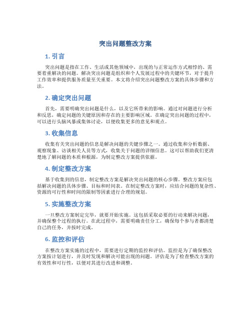 突出问题整改方案