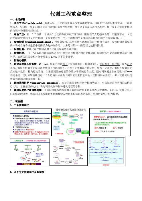 代谢工程重点整理