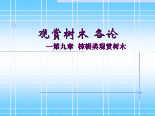 园林树木学课件——棕榈类观赏树木