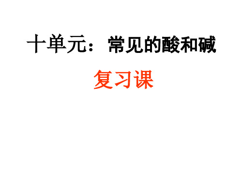 初中化学第十单元常见的酸和碱复习课件全解