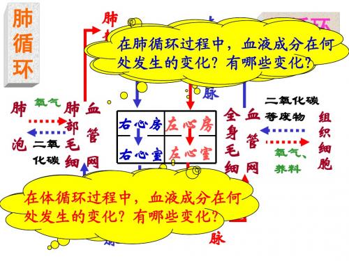 4-4-4输血与血型