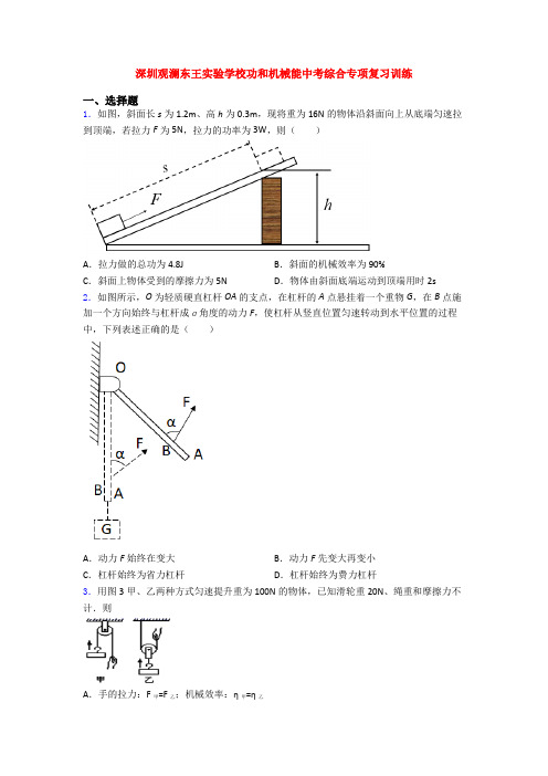 深圳观澜东王实验学校功和机械能中考综合专项复习训练