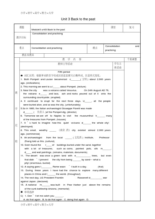 高三英语专题复习Unit3Backtothepast(第3课时)教案牛津译