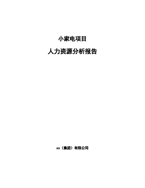 小家电项目人力资源分析报告模板