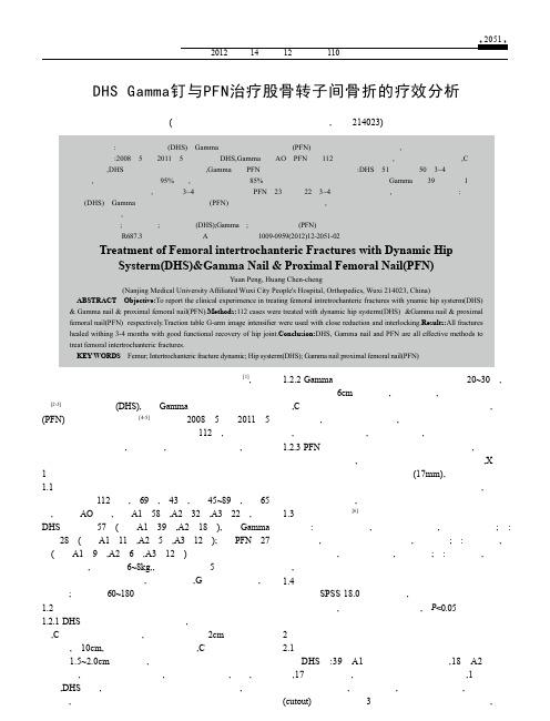 DHSGamma钉与PFN治疗股骨转子间骨折的疗效分析_袁鹏