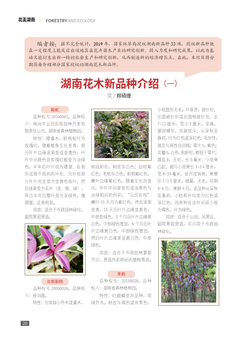 湖南花木新品种介绍(一)