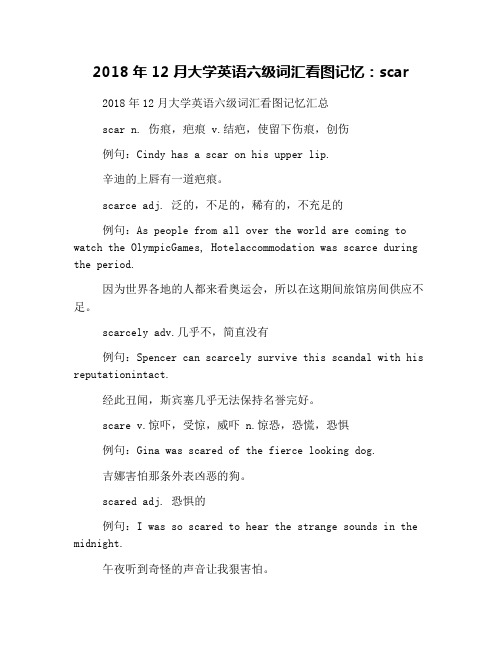 2018年12月大学英语六级词汇看图记忆:scar