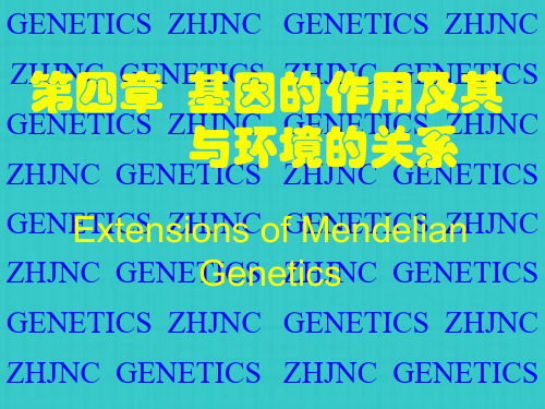 基因的作用及其与环境的关系