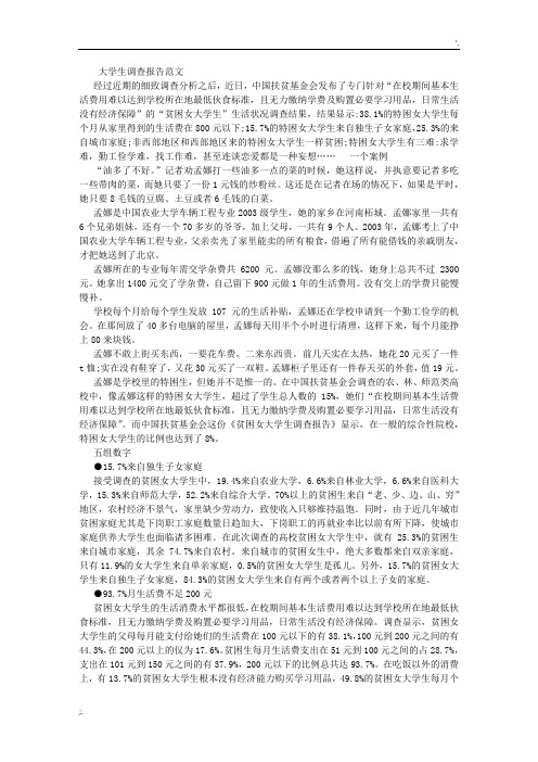 大学生社会调查报告范文 (4000字)