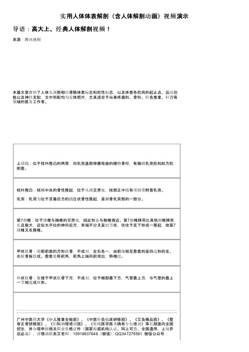 实用人体体表解剖（含人体解剖动画）视频演示