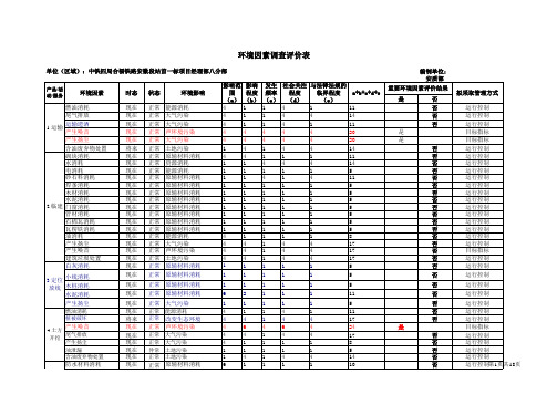 环境因素调查评价表