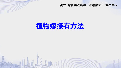 植物嫁接有方法高二综合实践PPT课件