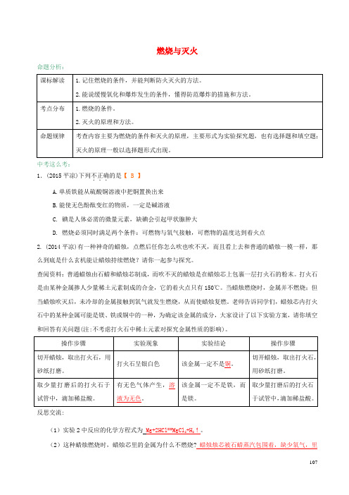 中考化学 第13课 燃烧与灭火试题