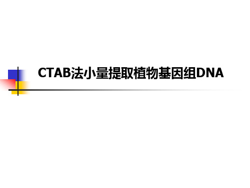 植物基因组DNA提取方法