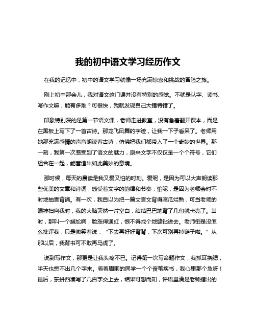 我的初中语文学习经历作文