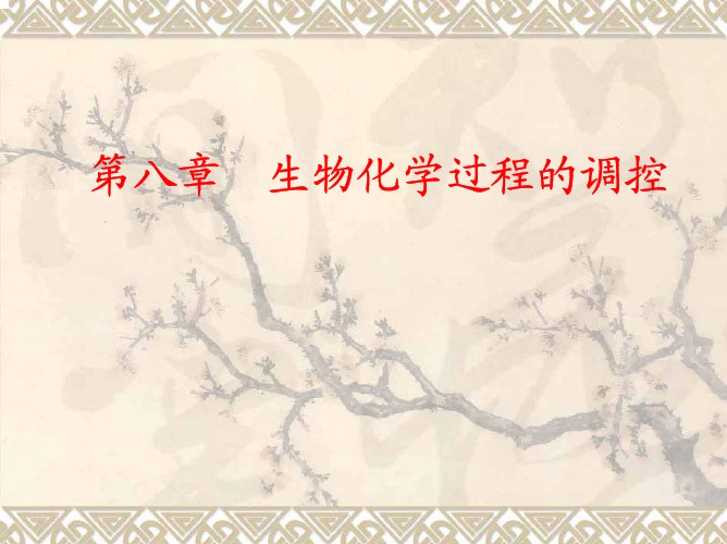 生物化学过程的调控.pdf