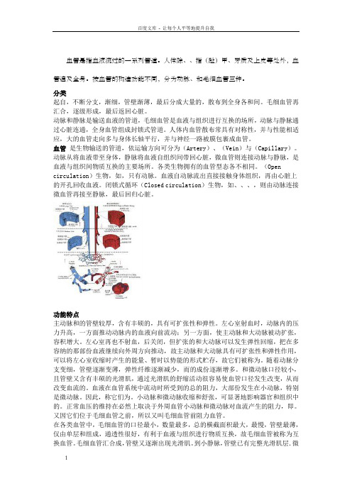 血管是指血液流过的一系列管道。人体除角膜、毛发、指趾