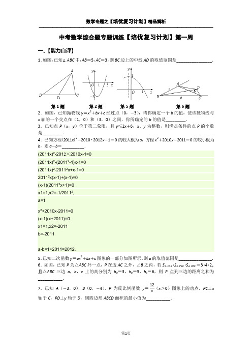 中考数学综合题专题训练【培优复习计划】第一周