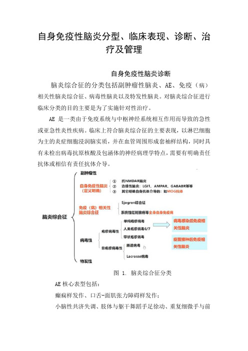 自身免疫性脑炎分型、临床表现、诊断、治疗及管理