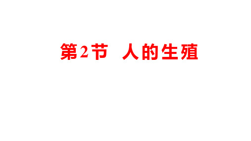 人教部编版七年级生物下册   4.1.2人的生殖  课件