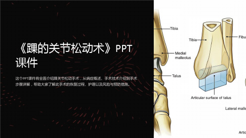 《踝的关节松动术》课件