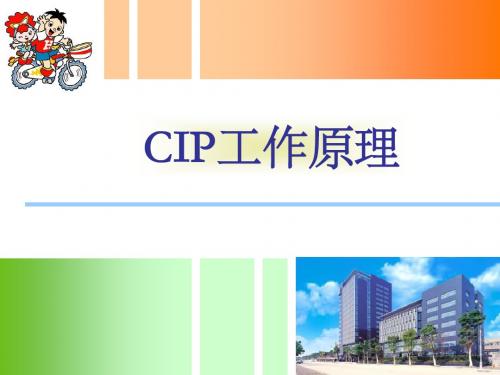 CIP清洗