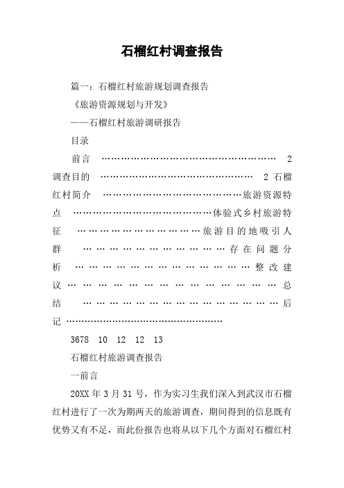 石榴红村调查报告