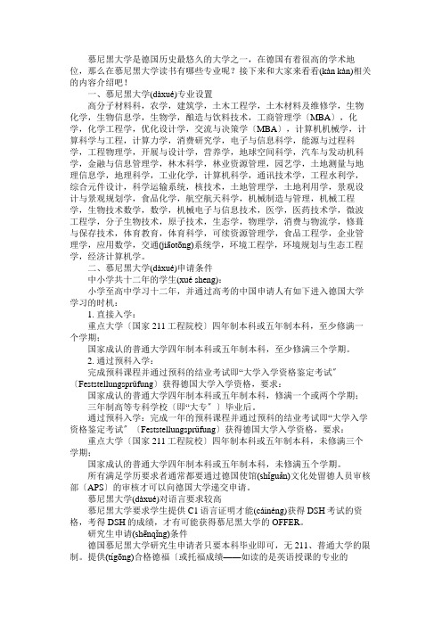 德国慕尼黑大学专业有哪些