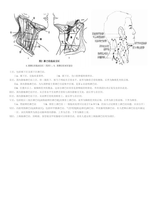 颈部淋巴结分区简介