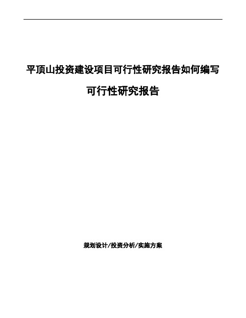 平顶山项目可行性研究报告(模板参考)