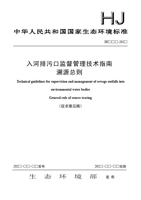 入河排污口监督管理技术指南说明书