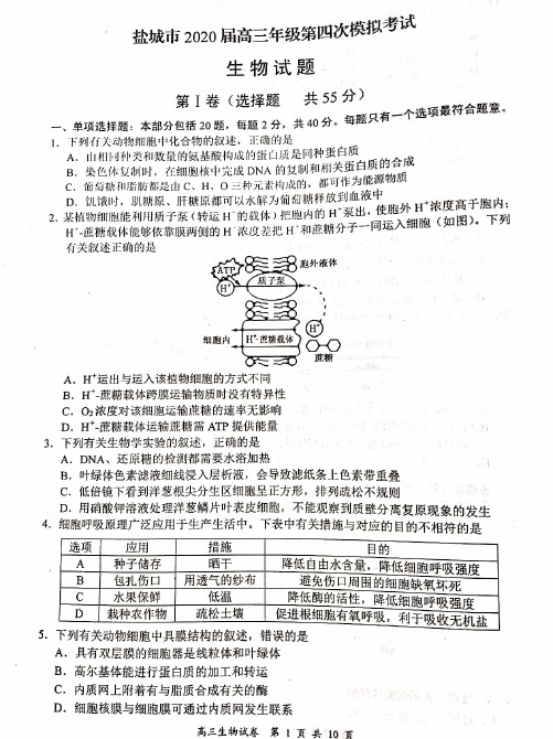 江苏省盐城市2020届高三年级第四次模拟考试生物试题 PDF版含答案