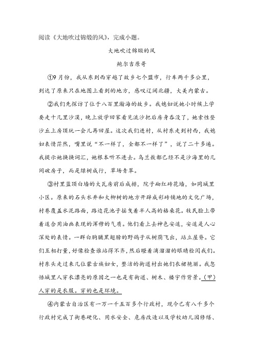 《大地吹过锦缎的风》阅读练习及答案