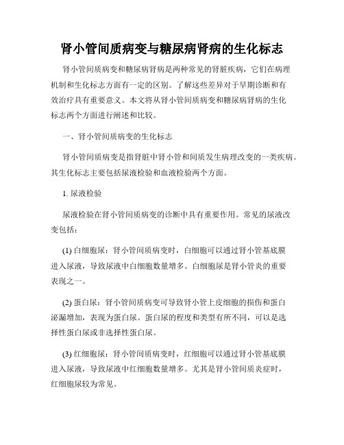 肾小管间质病变与糖尿病肾病的生化标志