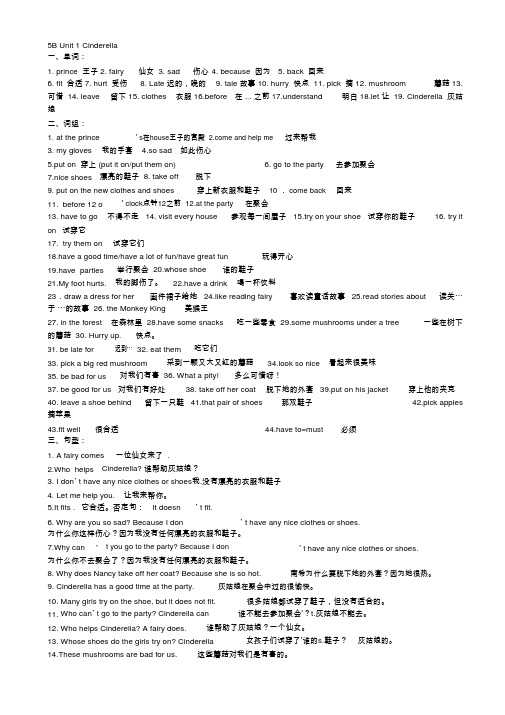 苏教版小学英语五年级下册知识点