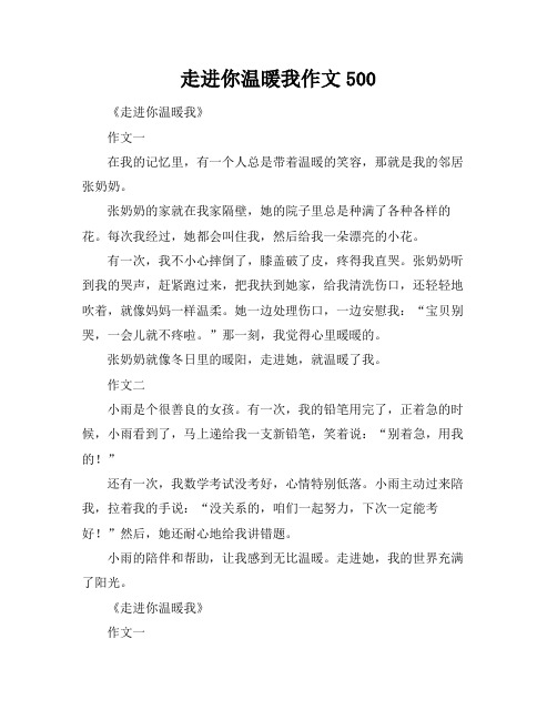 走进你温暖我作文500