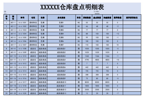 仓库盘点明细表