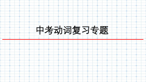 2024年河北省英语中考复习动词专题