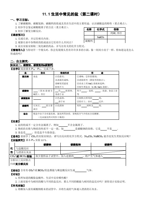 D11.1生活中常见的盐(第二课时)【丰田初中导学案】