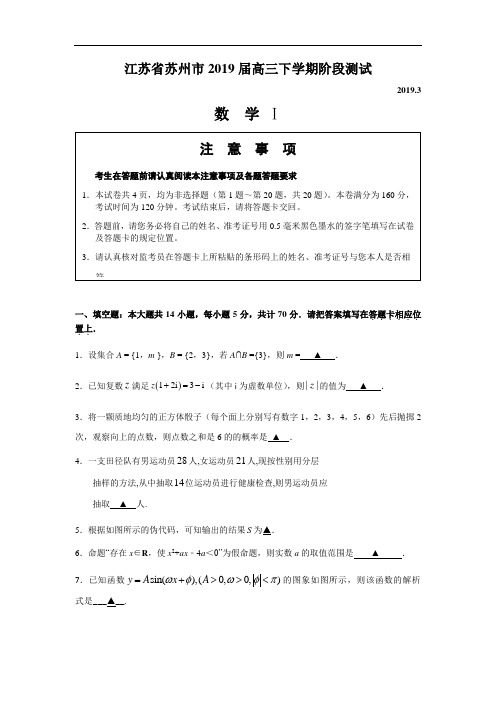 江苏省苏州市2019届高三下学期阶段测试数学试题(含附加题)