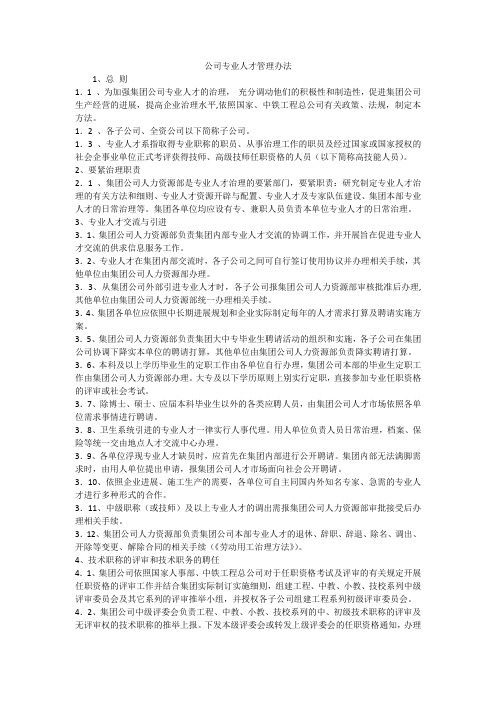 公司专业人才管理办法