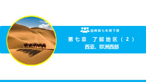  了解地区   西亚、欧洲西部(复习课件)-2024-2025学年七年级地理下学期期末复习(湘教版)