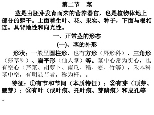 药用植物学：第三章  第二节  茎