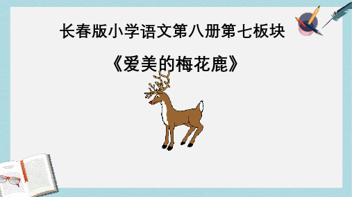 2019-2020年长春版四年级语文下册《爱美的梅花鹿》课件共13张PPT