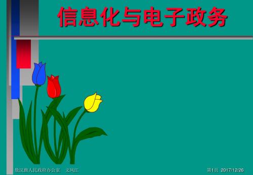 信息化和电子政务培训课件详解.