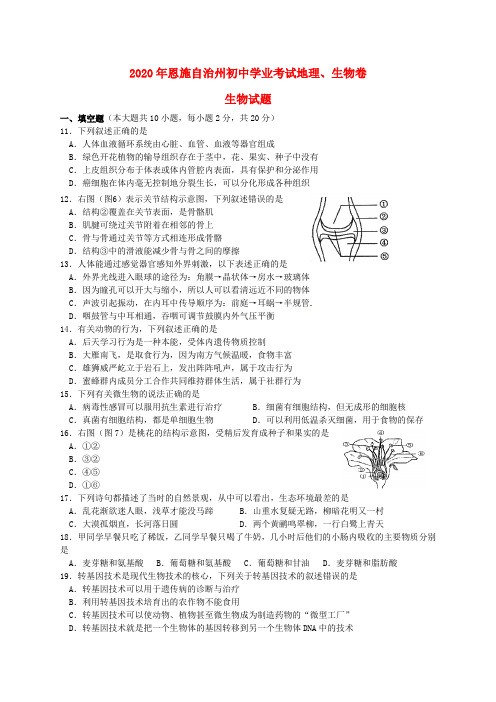 湖北省恩施州2020年中考生物真题试题(含答案)