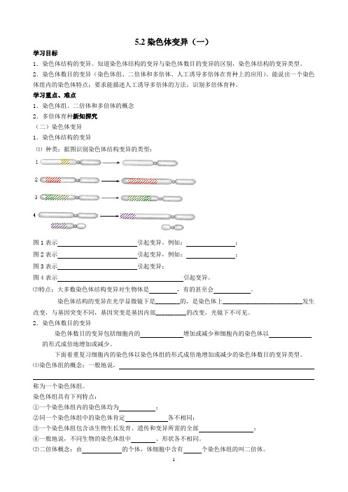 人教版必修二  染色体变异 学案