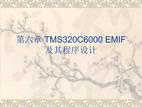 第六章 TMS320C6000 DSP外部存储器接口讲解