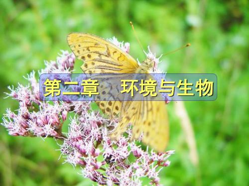 《环境生态学》第二章：生物与环境